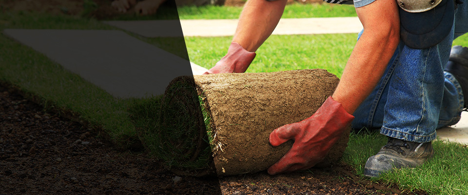 Maquoketa Landscapers
